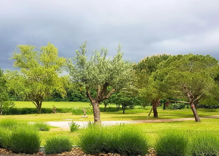 La Petite Maison De Valerie Proche Chateau De La Rode, Du Domaine De Flore Et Du Saint Ferreol * Lempaut
