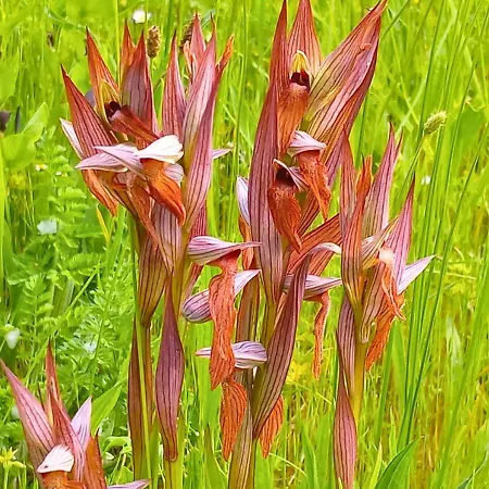 La Petite Maison De Valerie Proche Chateau De La Rode, Du Domaine De Flore Et Du Saint Ferreol Bed & Breakfast Lempaut